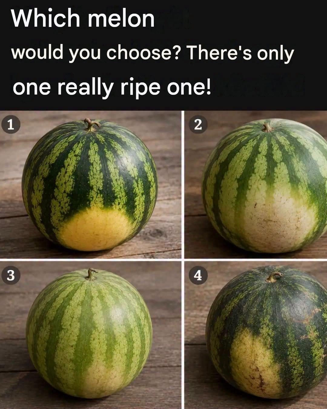 Which melon would you choose? There’s only one real…See more