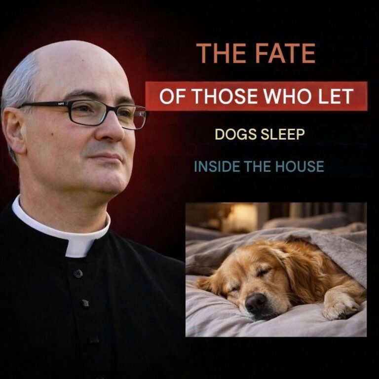 A priest revealed what happens in homes where dogs sleep inside.