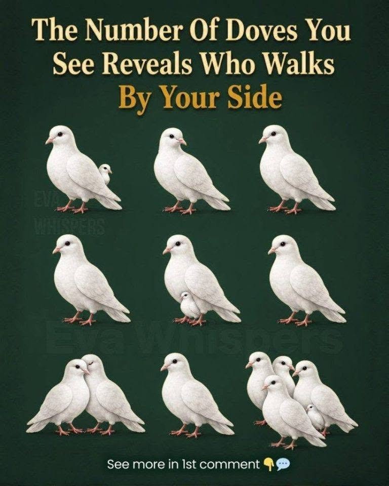 How many doves do you see? Check the 1st c0mment