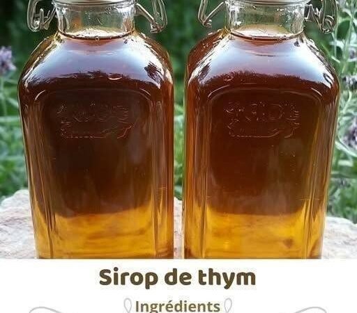 Homemade Thyme Syrup: Complete Recipe, Benefits, and Tips…