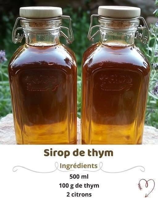 Homemade Thyme Syrup: Complete Recipe, Benefits, and Tips…