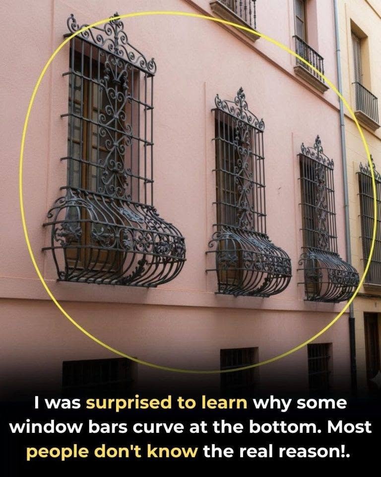Many people think it’s for decoration! 🧐⤵️