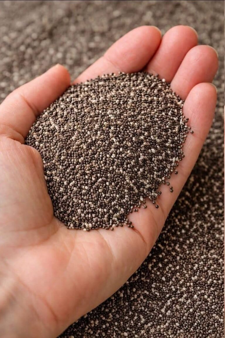Doctors reveal eating chia seeds causes…