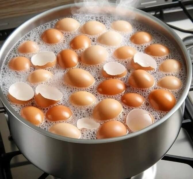 Stop throwing them away. Boil eggshells and say goodbye to..