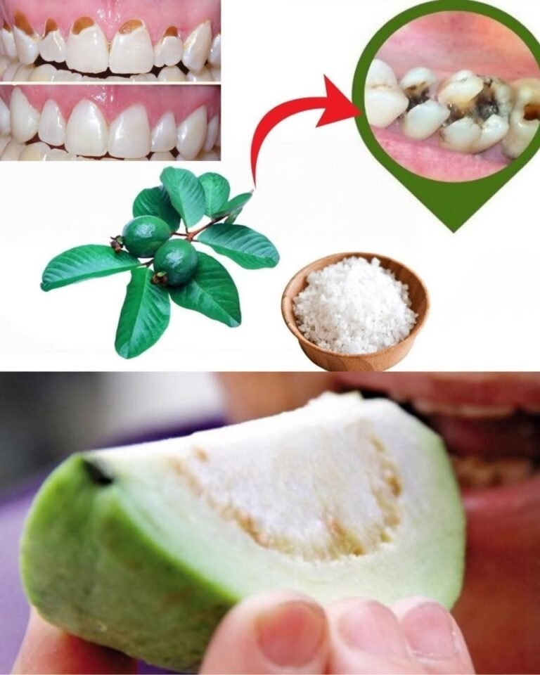 3 best ways to treat dental cavities with guava leaves – Simple and economicalTo keep receiving my recipes, you just need to say something