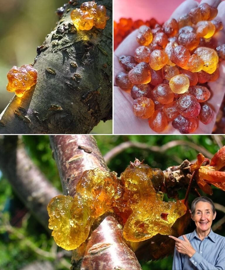 This resin is very expensive because it’s very powerful. Most people have no idea…
